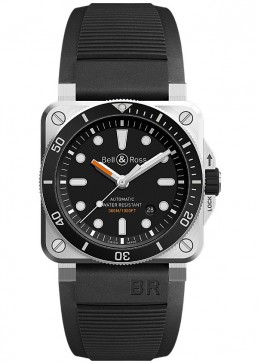BR 03-92 DIVER 2